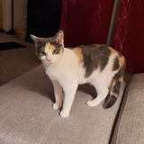 Entry image for Emily 