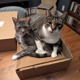 Entry image for Figgy & Marlowe