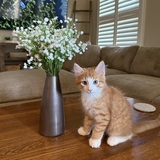 Entry image for Bogey