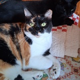 Entry image for Marsha. And Rupert