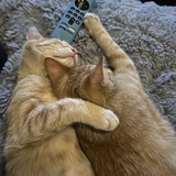 Entry image for Phoebe and Fergie