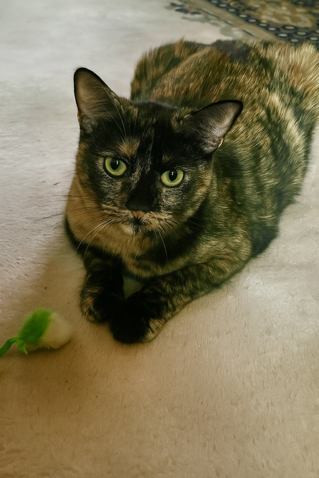 Entry image for Jolene. Clicking this image will show a larger photo