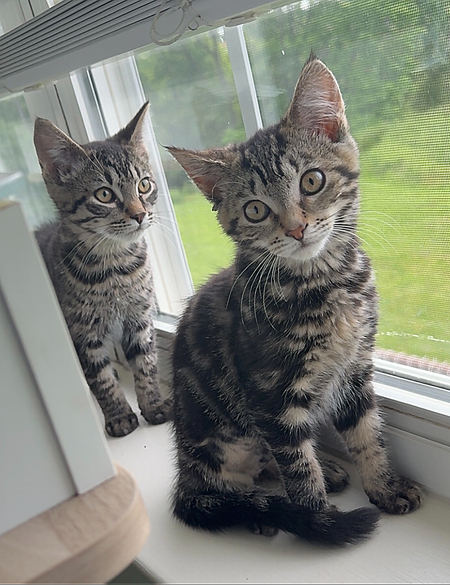 Entry image for Zuko & Azula. Clicking this image will show a larger photo