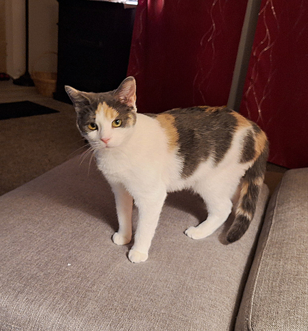 Entry image for Emily . Clicking this image will show a larger photo