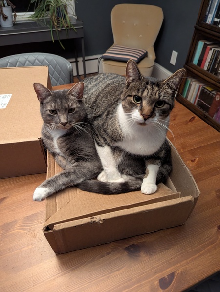 Entry image for Figgy & Marlowe. Clicking this image will show a larger photo