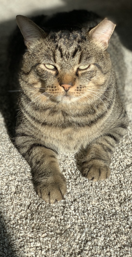 Entry image for Brock. Clicking this image will show a larger photo