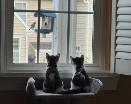 Entry image for Roy and Keeley. Clicking this image will show a larger photo