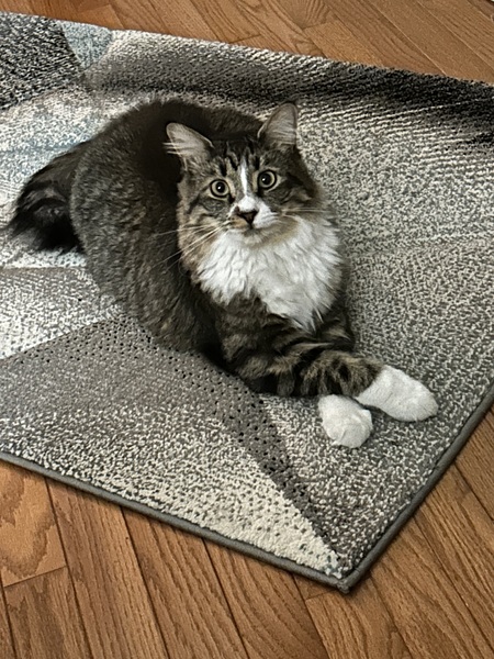 Entry image for Elliot. Clicking this image will show a larger photo