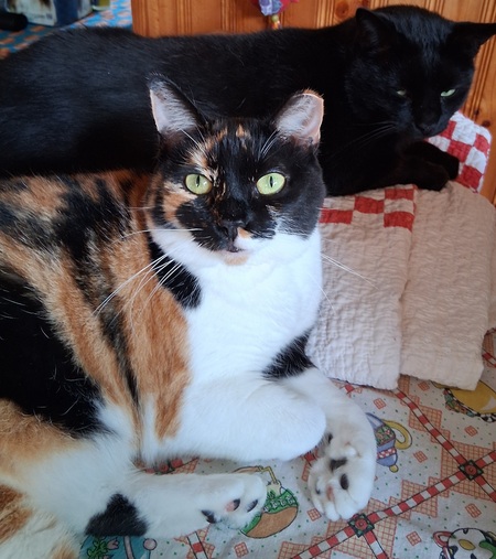 Entry image for Marsha. And Rupert. Clicking this image will show a larger photo