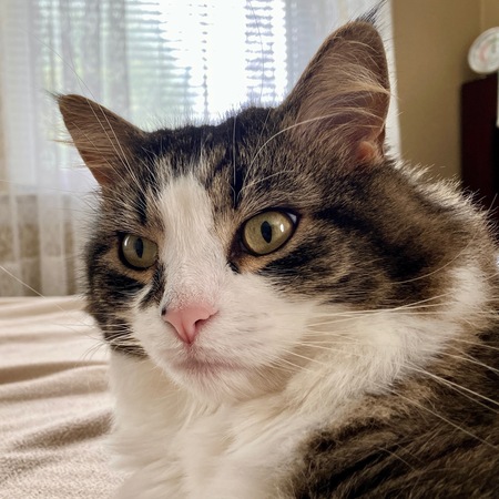 Entry image for Hannah. Clicking this image will show a larger photo