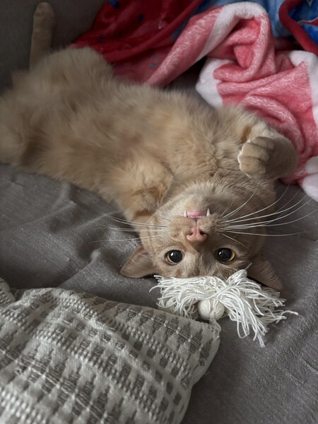 Entry image for Timothy. Clicking this image will show a larger photo