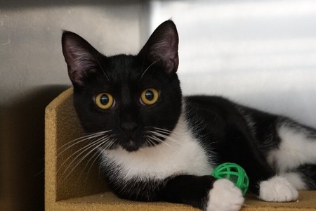 Entry image for JACOB. Clicking this image will show a larger photo