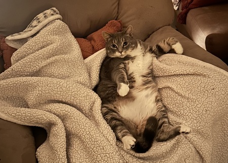 Entry image for Peter. Clicking this image will show a larger photo