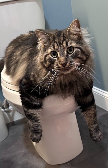 Entry image for Peter. Clicking this image will show a larger photo