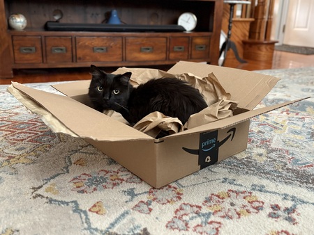 Entry image for Henry. Clicking this image will show a larger photo