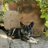 Entry image for Barry