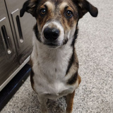 Entry image for Stacy