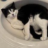 Entry image for LeeLoo