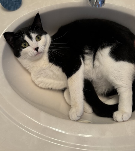 Entry image for LeeLoo. Clicking this image will show a larger photo