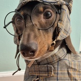Entry image for Sherlock Stanley