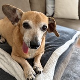 Entry image for Mylo