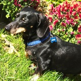 Entry image for Lucky