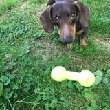 Entry image for Scoop