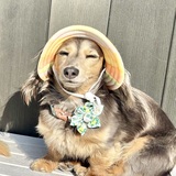 Entry image for Baylee