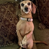 Entry image for Francine