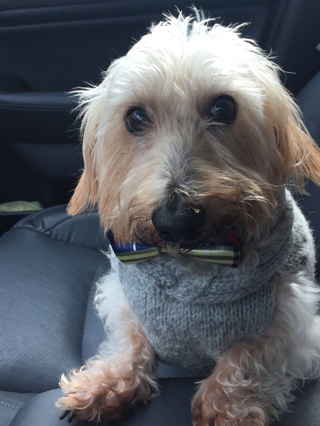 Entry image for Lukas Samuel. Clicking this image will show a larger photo