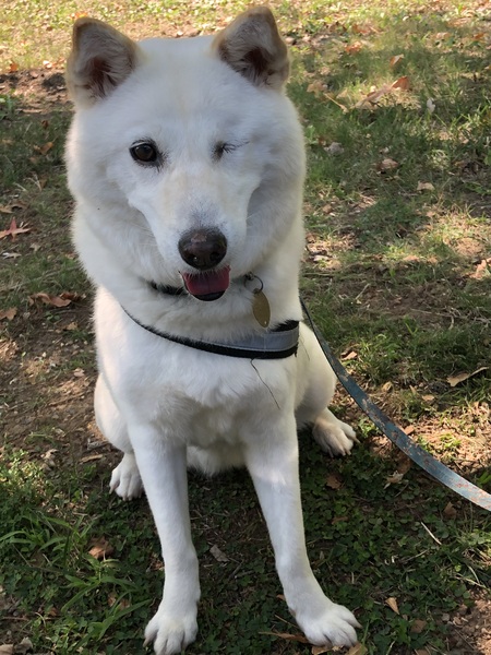 Entry image for Lexi. Clicking this image will show a larger photo