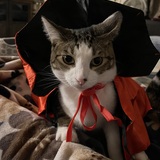 Entry image for Benny aka Big Ben 