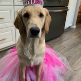 Entry image for Sadie 