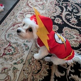 Entry image for Frankie Fallon Husband 