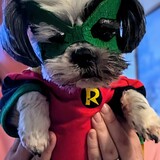 Entry image for Kneesa 