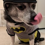 Entry image for Maverick 