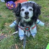 Entry image for Hubble