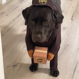 Entry image for Birdie