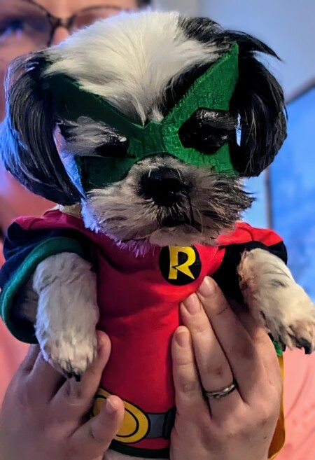 Entry image for Kneesa . Clicking this image will show a larger photo