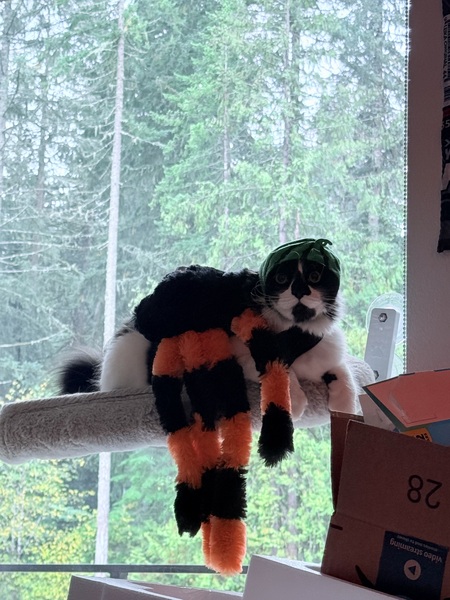 Entry image for Astro. Clicking this image will show a larger photo