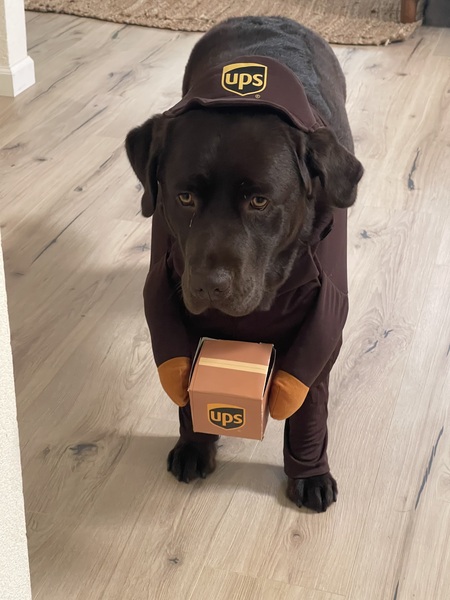 Entry image for Birdie. Clicking this image will show a larger photo