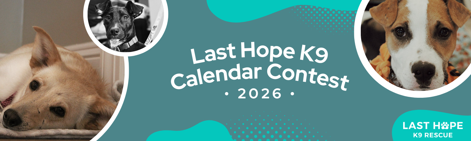 Banner for Last Hope K9 Rescue 2026 Calendar Contest