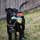 Entry image for Chloe