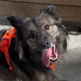 Entry image for Betty