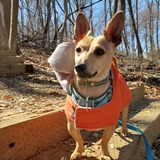 Entry image for Teagan