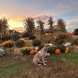 Entry image for Cooper