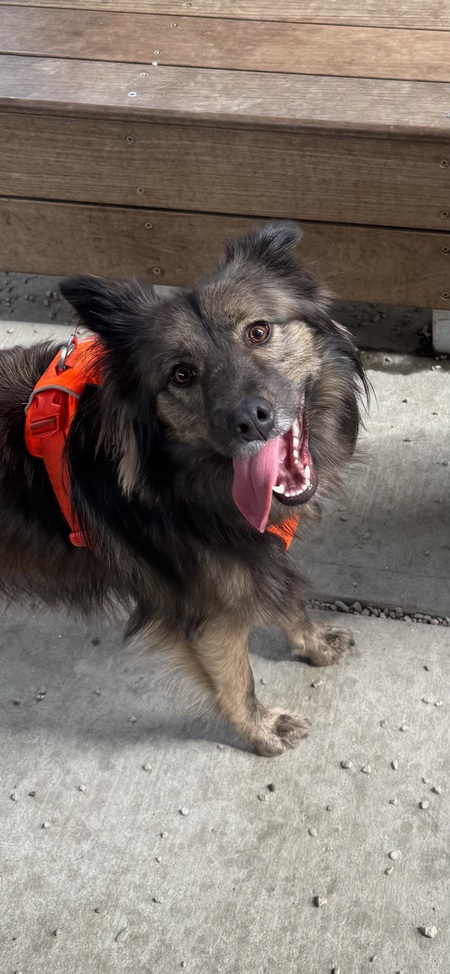 Entry image for Betty. Clicking this image will show a larger photo
