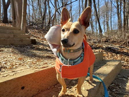 Entry image for Teagan. Clicking this image will show a larger photo