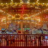 Entry image for   Bushnell Panoramic