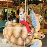 Entry image for Sea Turtle 